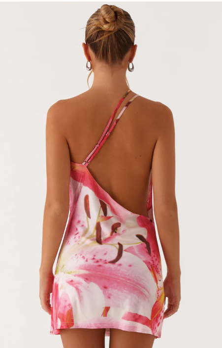 Bohemian Bliss Mesh Mini Dress